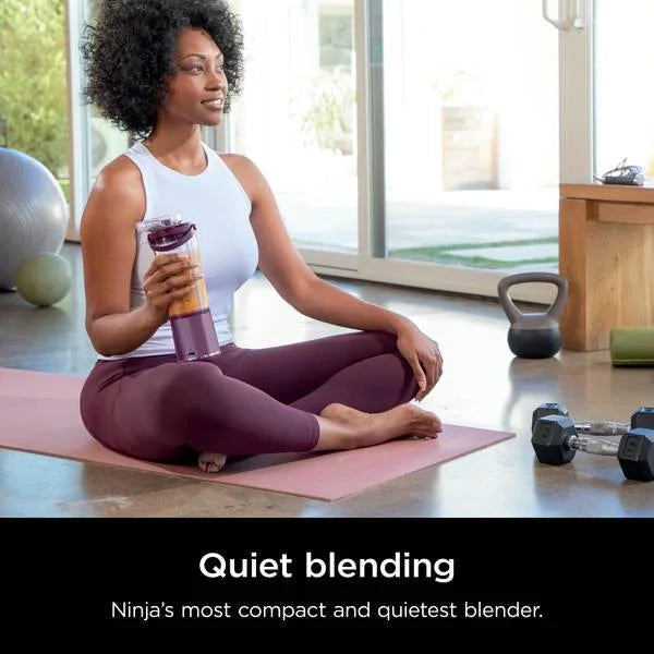 Portable Blender N5466