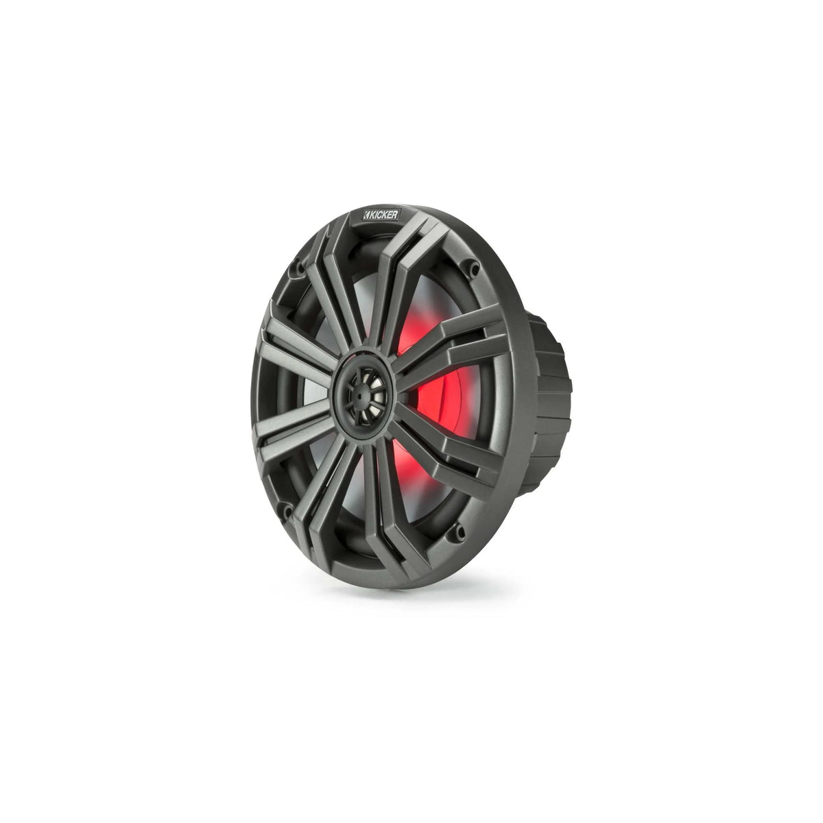 8 Inch Marine Speaker with LED Remote E591