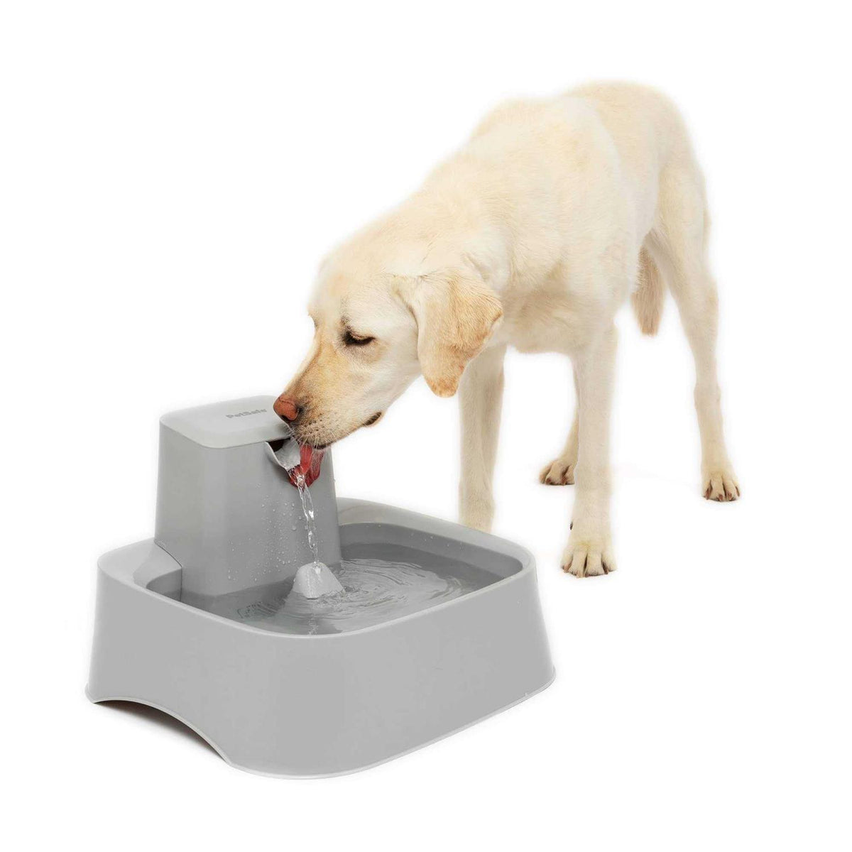 2 Gallon Pet Fountain F3503