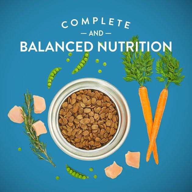 Grain-Free Chicken & Vegetable Dry Dog Food F3177