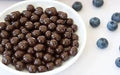 Chocolate Covered Blueberries Y5056