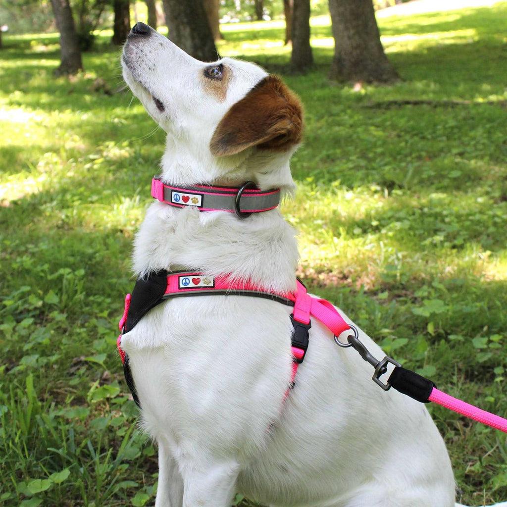 Reflective Dog Collar Small X619