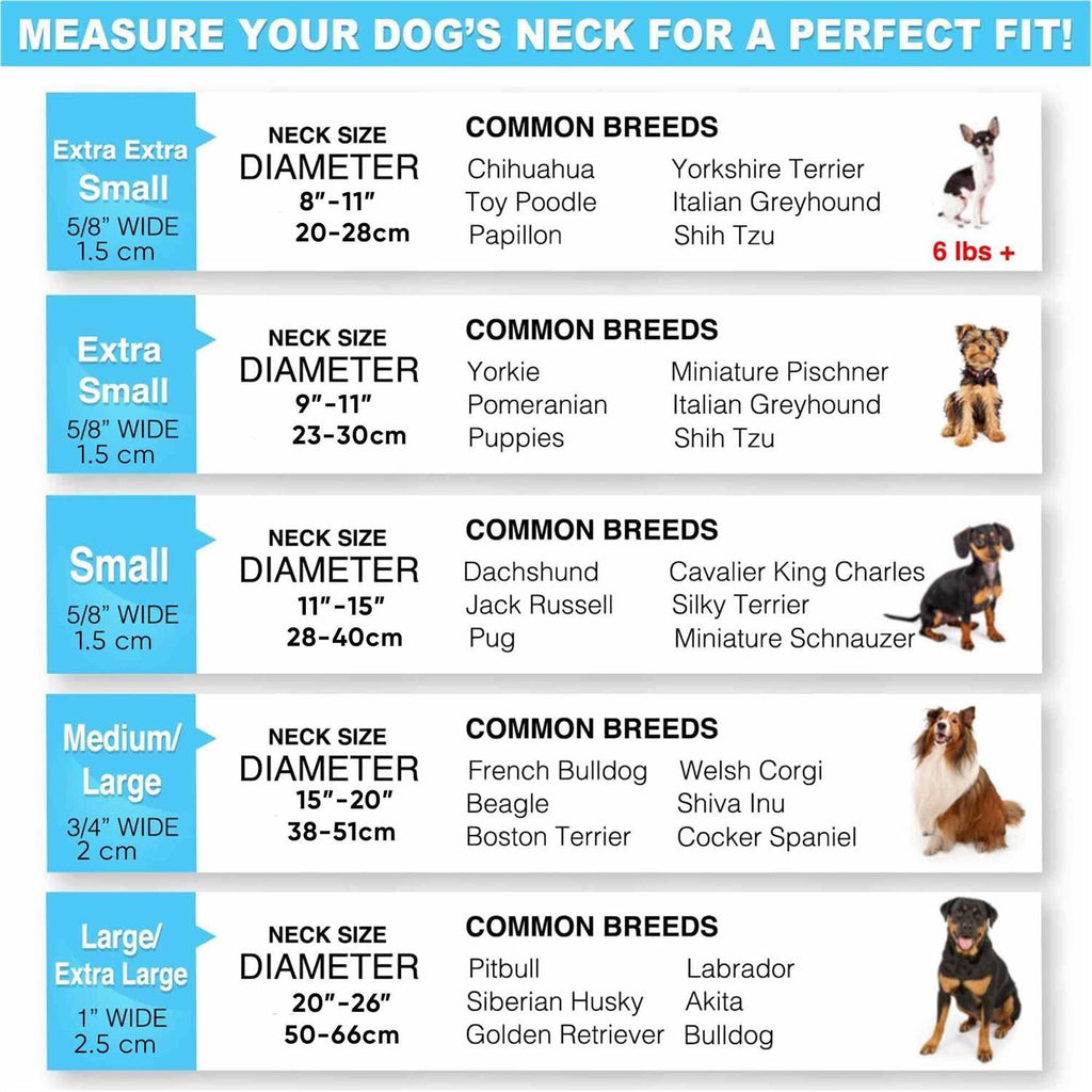 Reflective Dog Collar Small X619