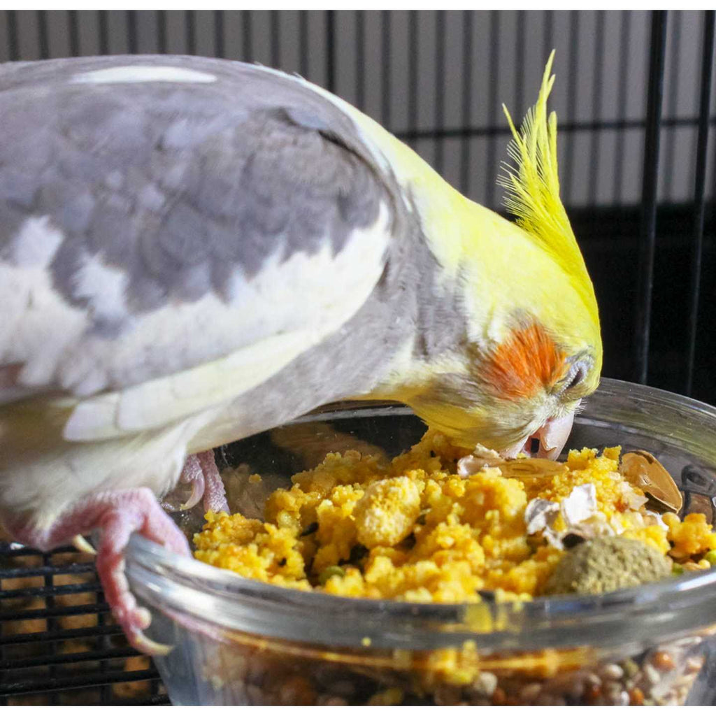 Egg Food Supplement X276