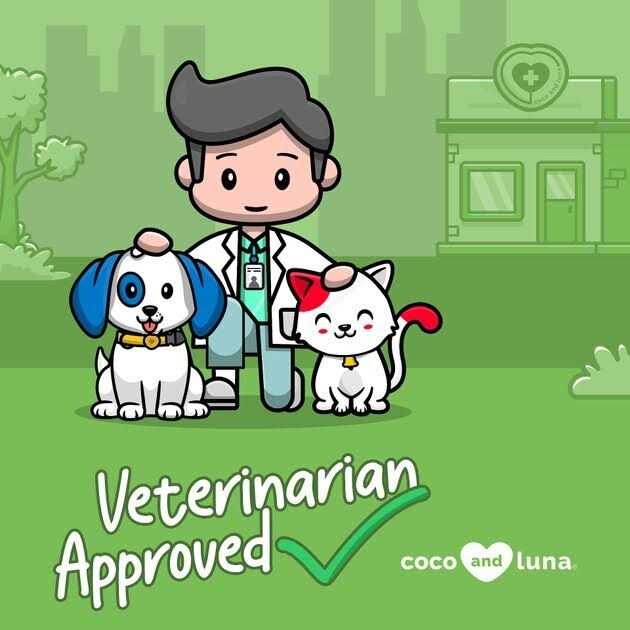 Milk Thistle Liver & Kidney Support for Dogs U1312