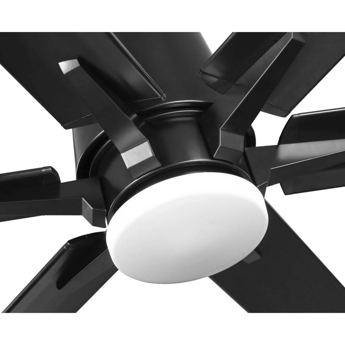 Black Ceiling Fan U62657