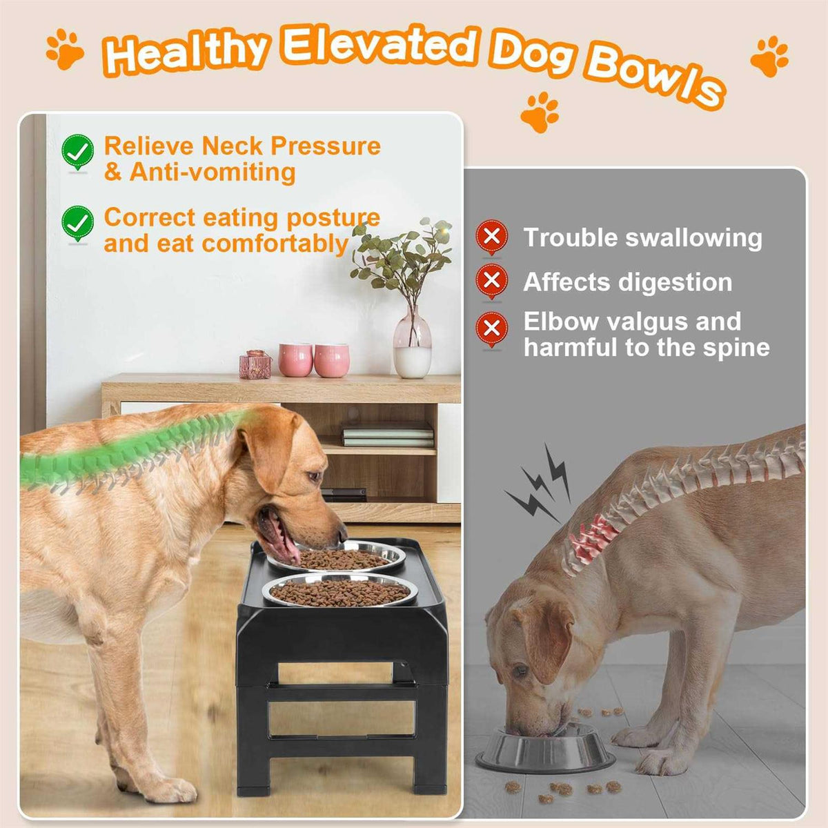 4 Height Adjustable Raised Dog Bowls with 2 Stainless Steel Bowls D761931