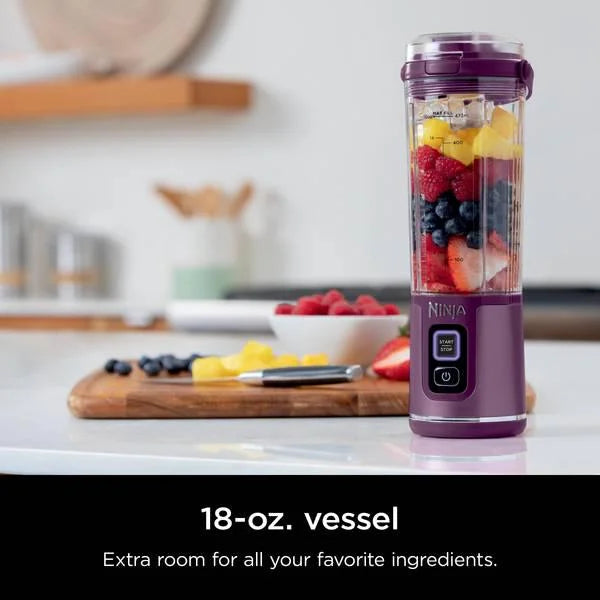 Portable Blender N5466