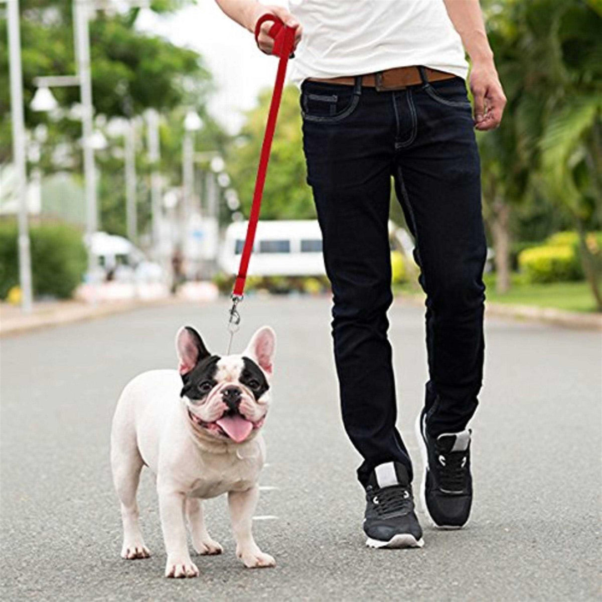 Long Lead Leash O1396