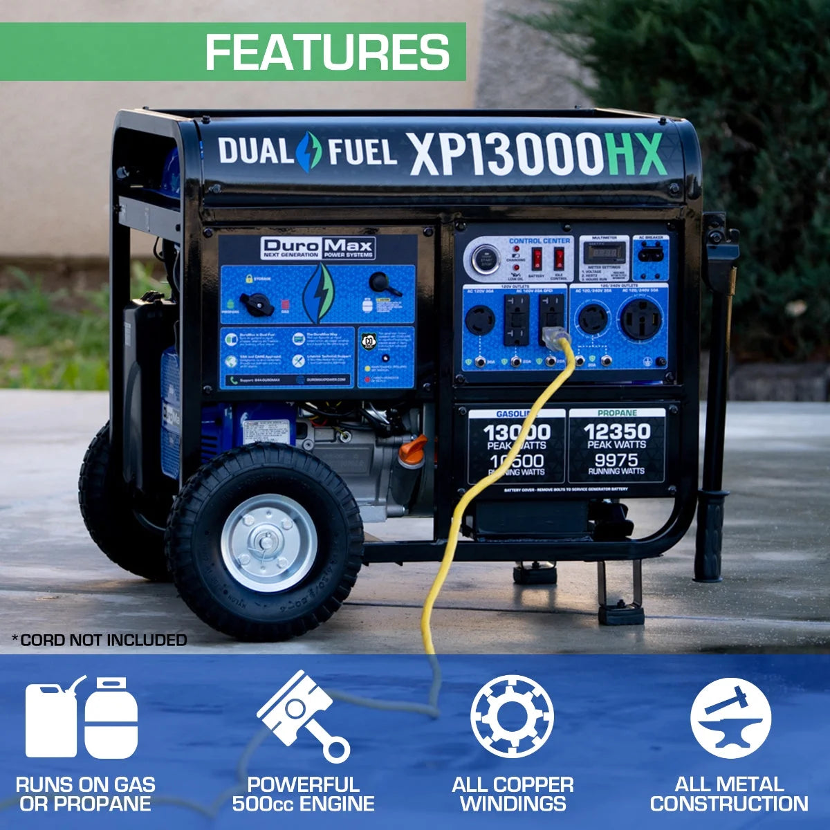 13,000 Watt Dual Fuel Portable Generator E502
