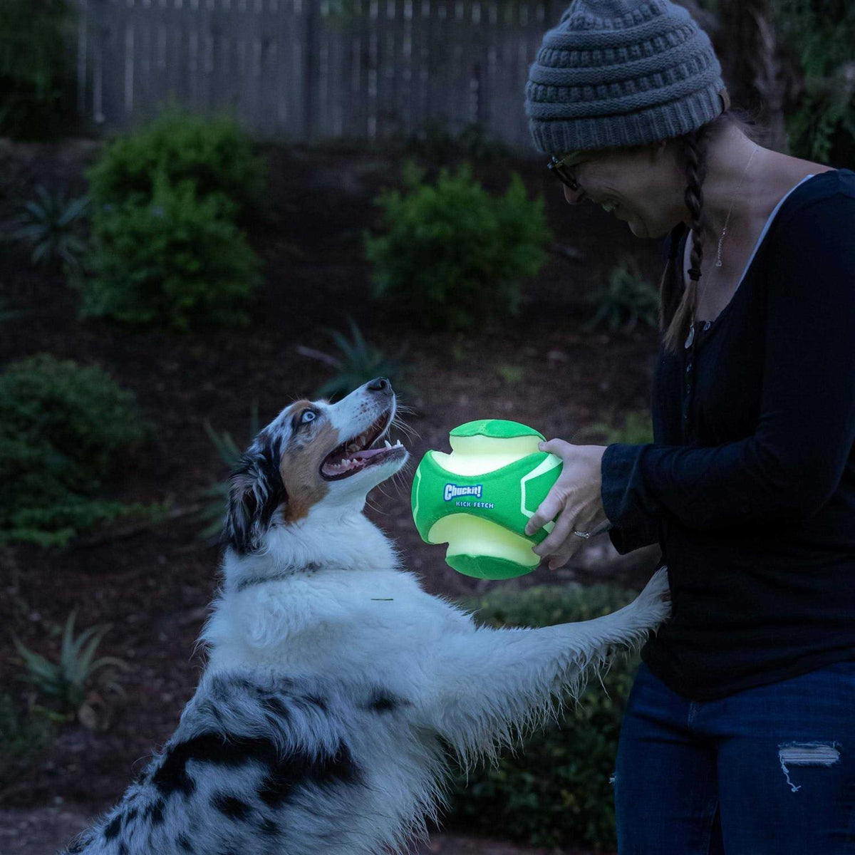 Glow Dog Toy B548873