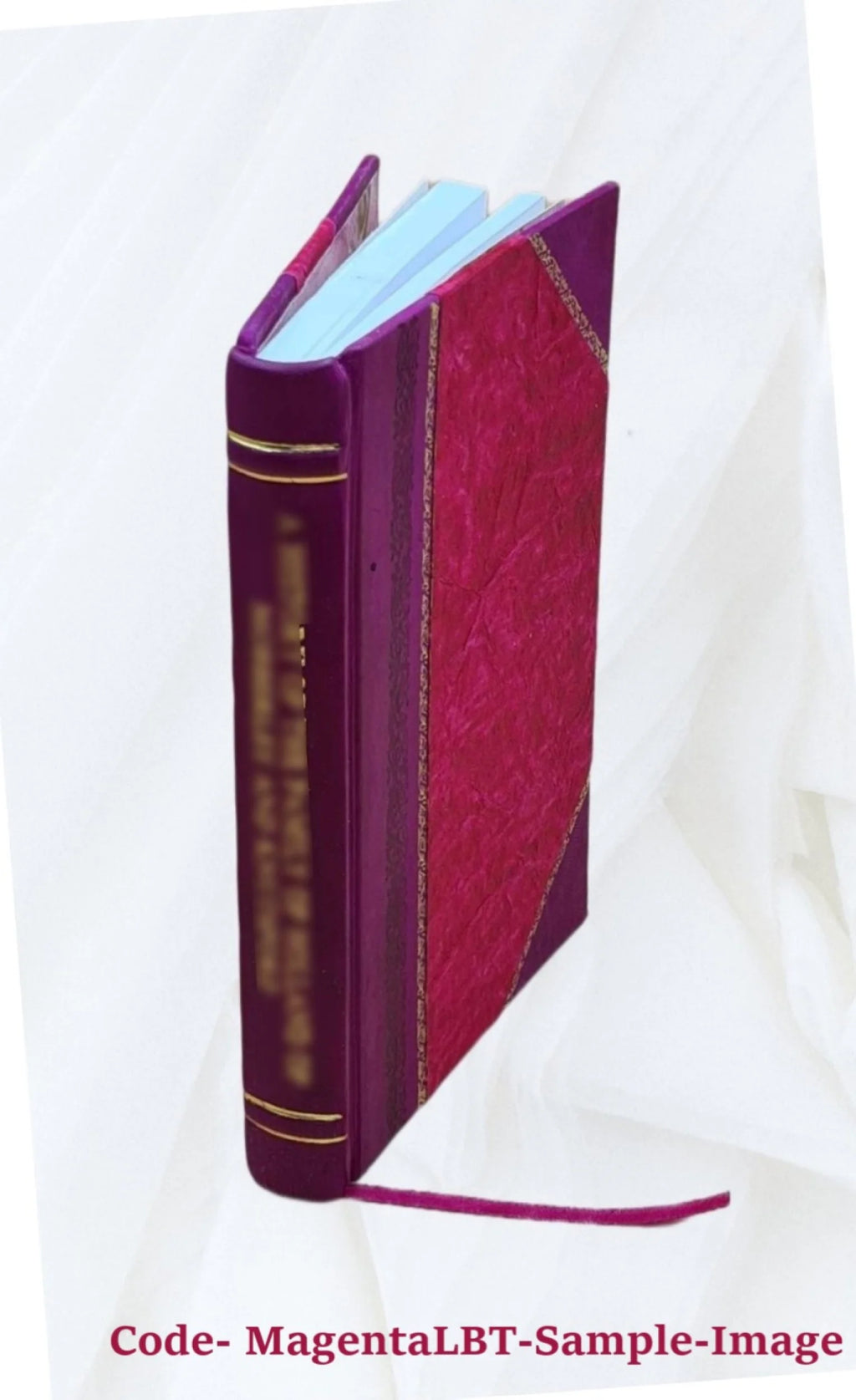 Norse People World-Conception Leather Bound A731853
