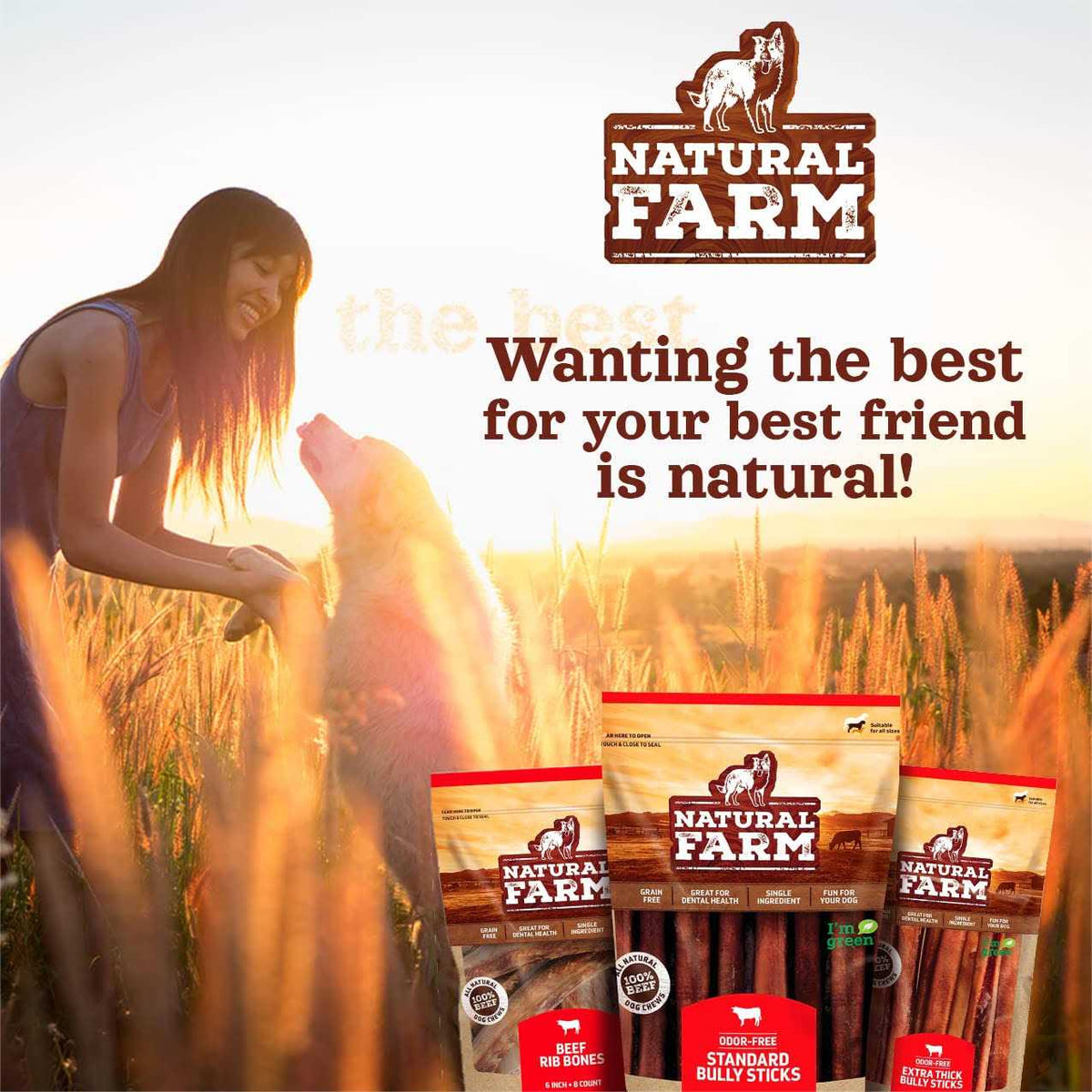 Beef Trachea Dog Chews L2202