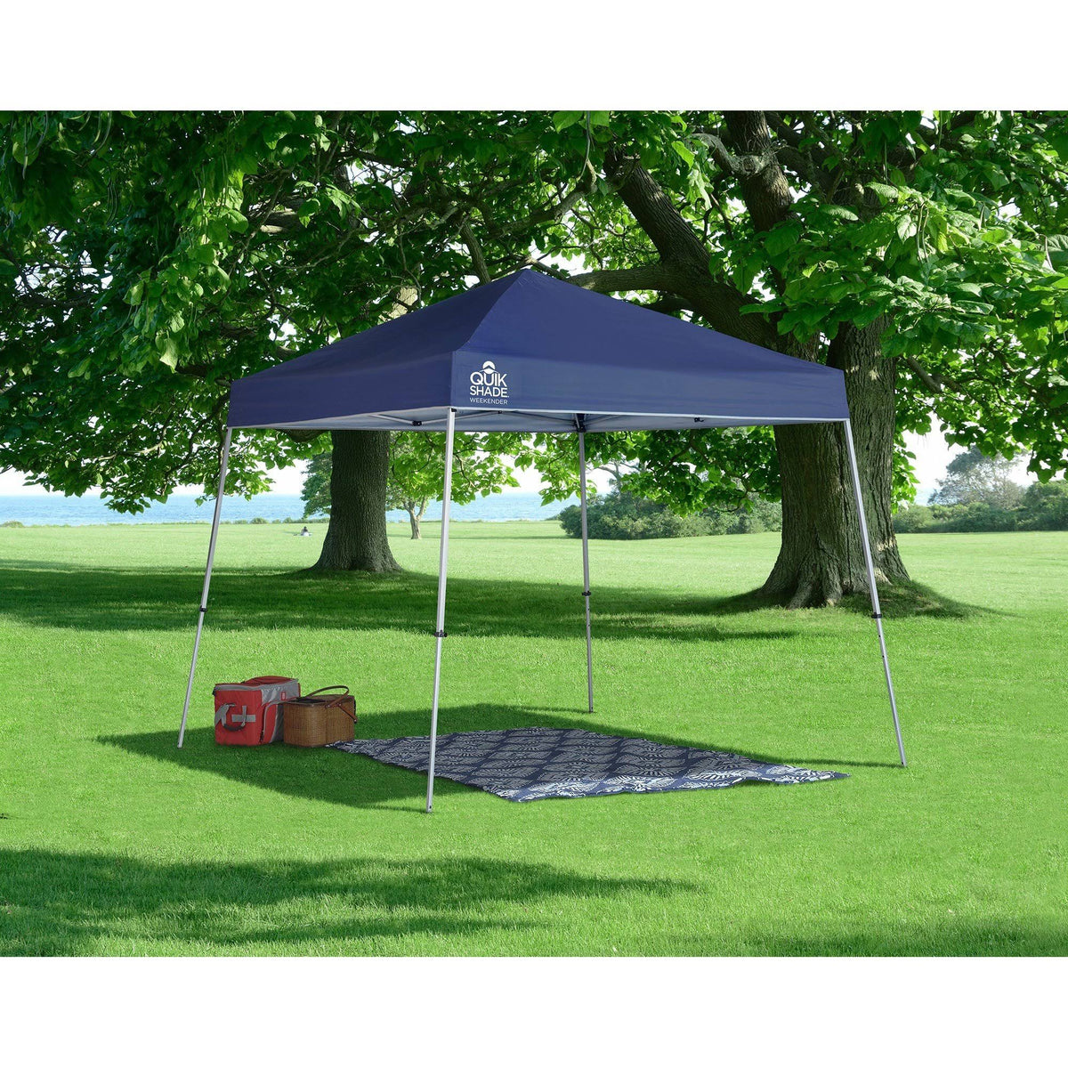 10x10 ft Slant Leg Canopy Twilight Blue C977293