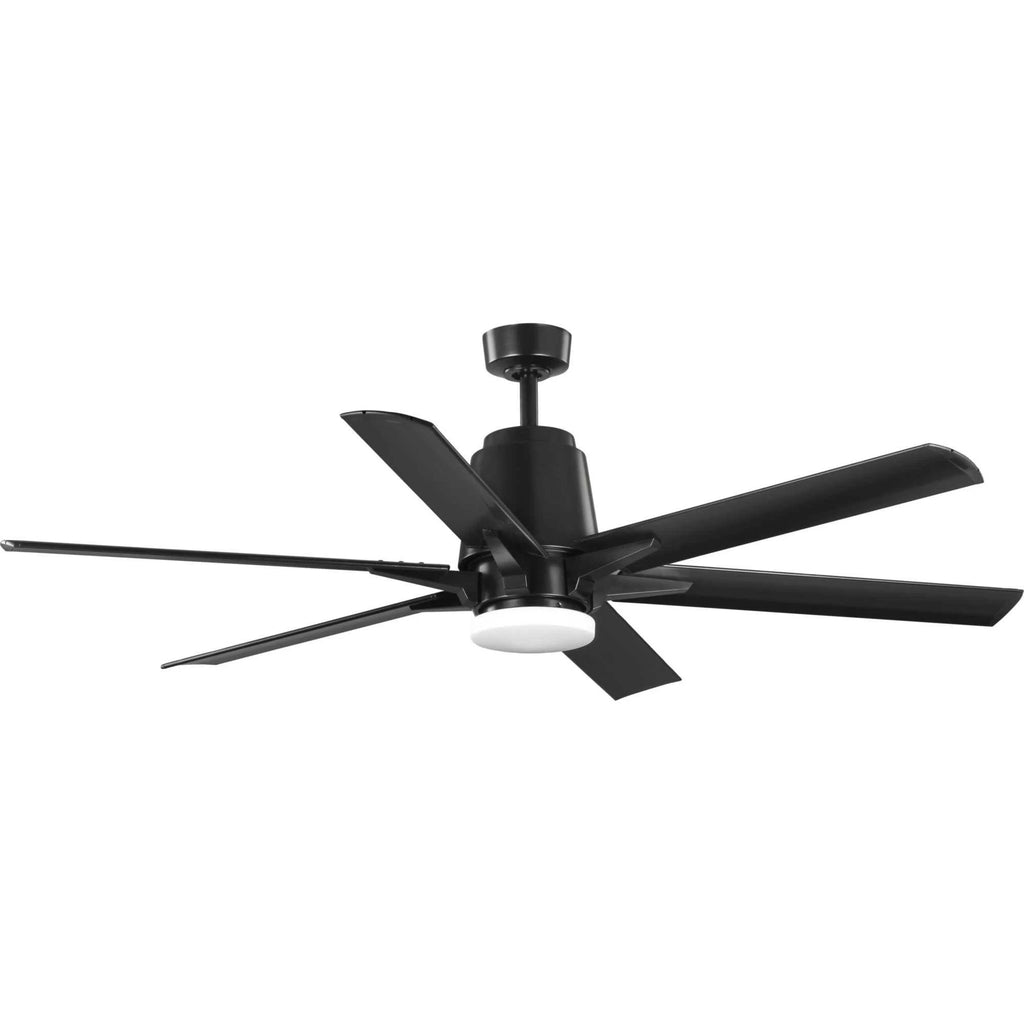Black Ceiling Fan U62657
