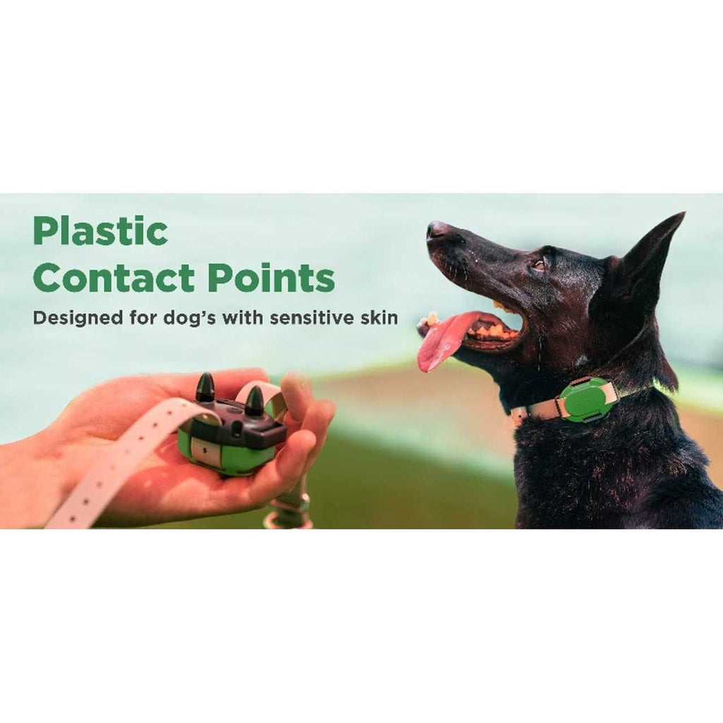 Dog Training Collar U456
