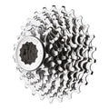 10-Speed Cassette 12-36t I2522