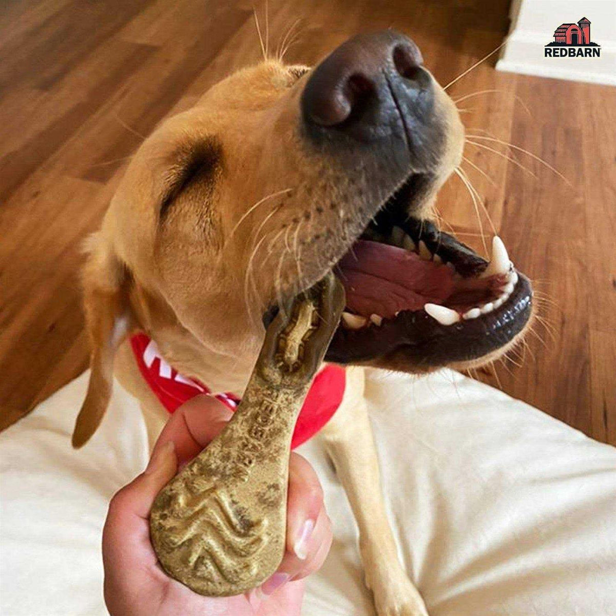 Dental Dog Chew C5896