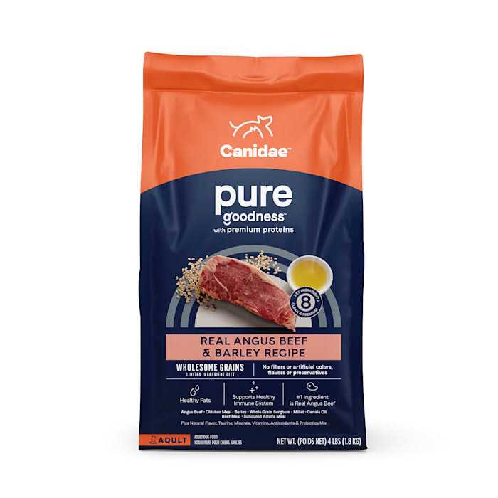 Beef & Barley Recipe Dry Dog Food X883039