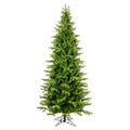 10 x 56 x 22 Balsam Spruce Slim O352446