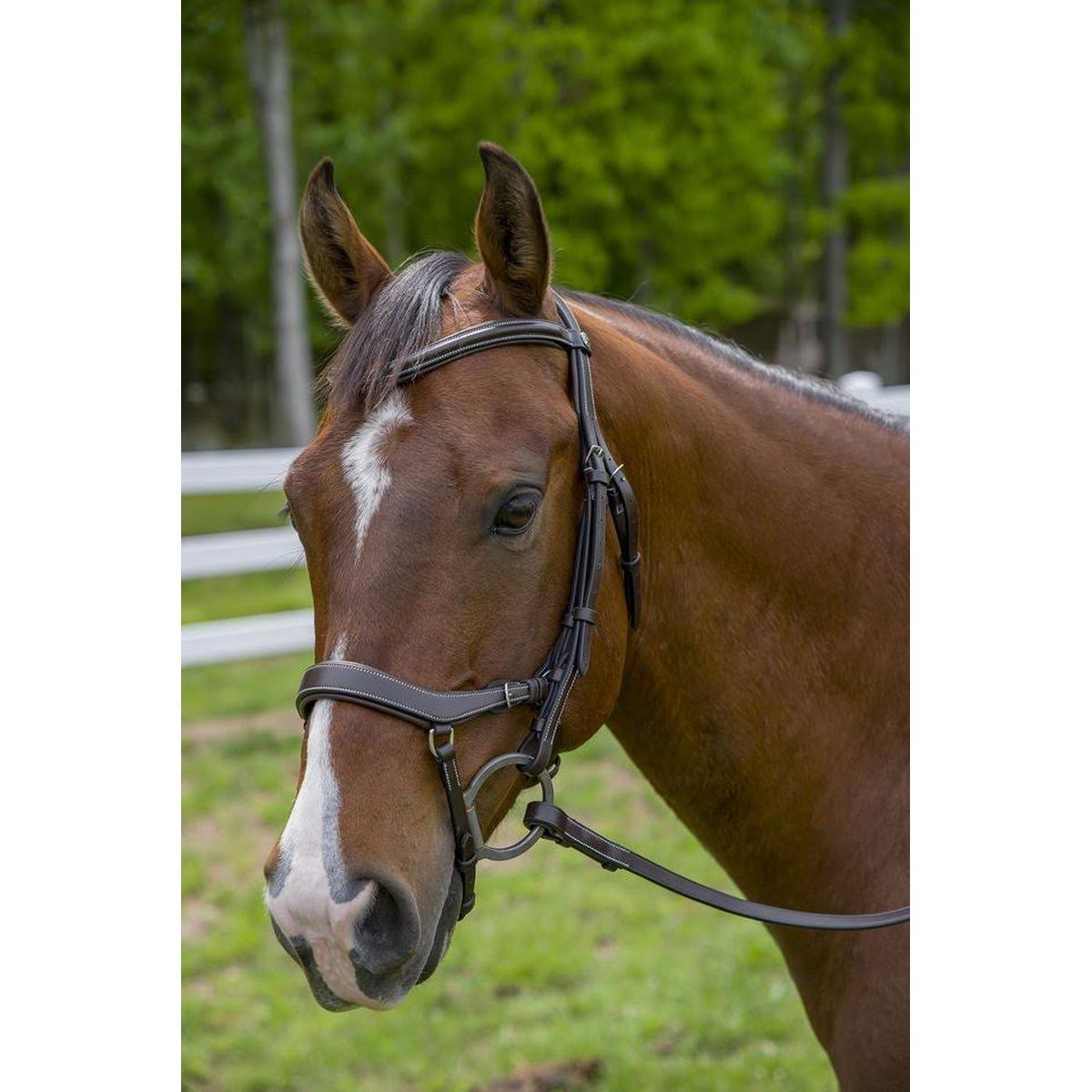 Bridle A935478