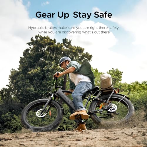 26" Fat Tire Electric Bike with 48V 16Ah Removable Lithium-Ion Battery H16585