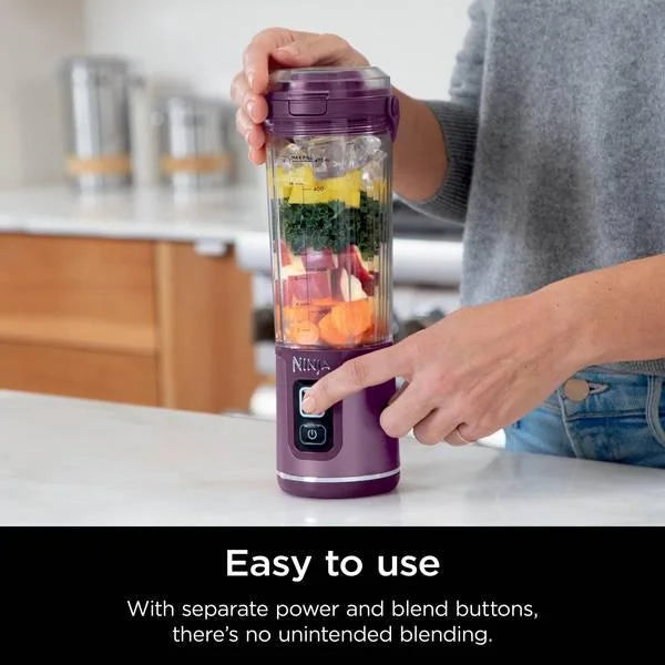 Portable Blender N5466