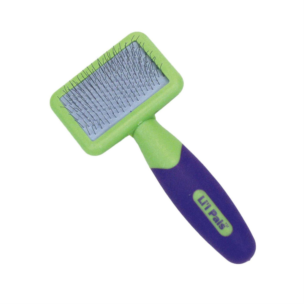 Kitten Slicker Brush with Coated Tips L22941