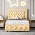 Black Queen Size Upholstered Platform Bed with Tufted Headboard J28650