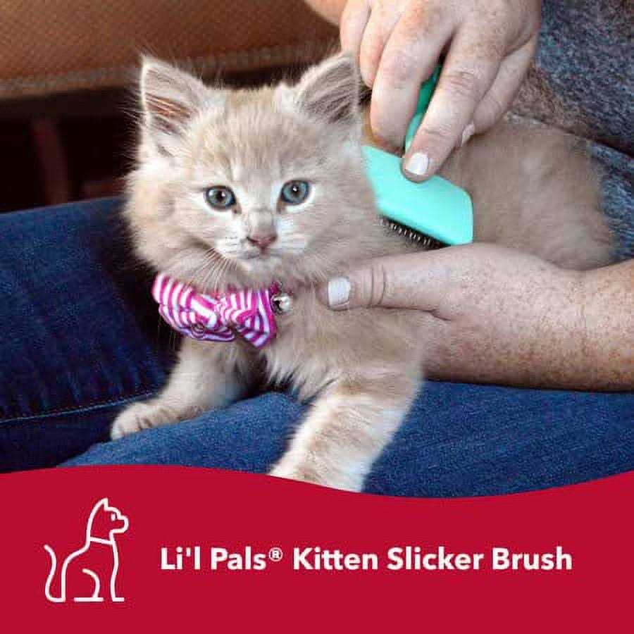 Kitten Slicker Brush with Coated Tips L22941