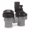 3/4in Antisiphon Valve I46417