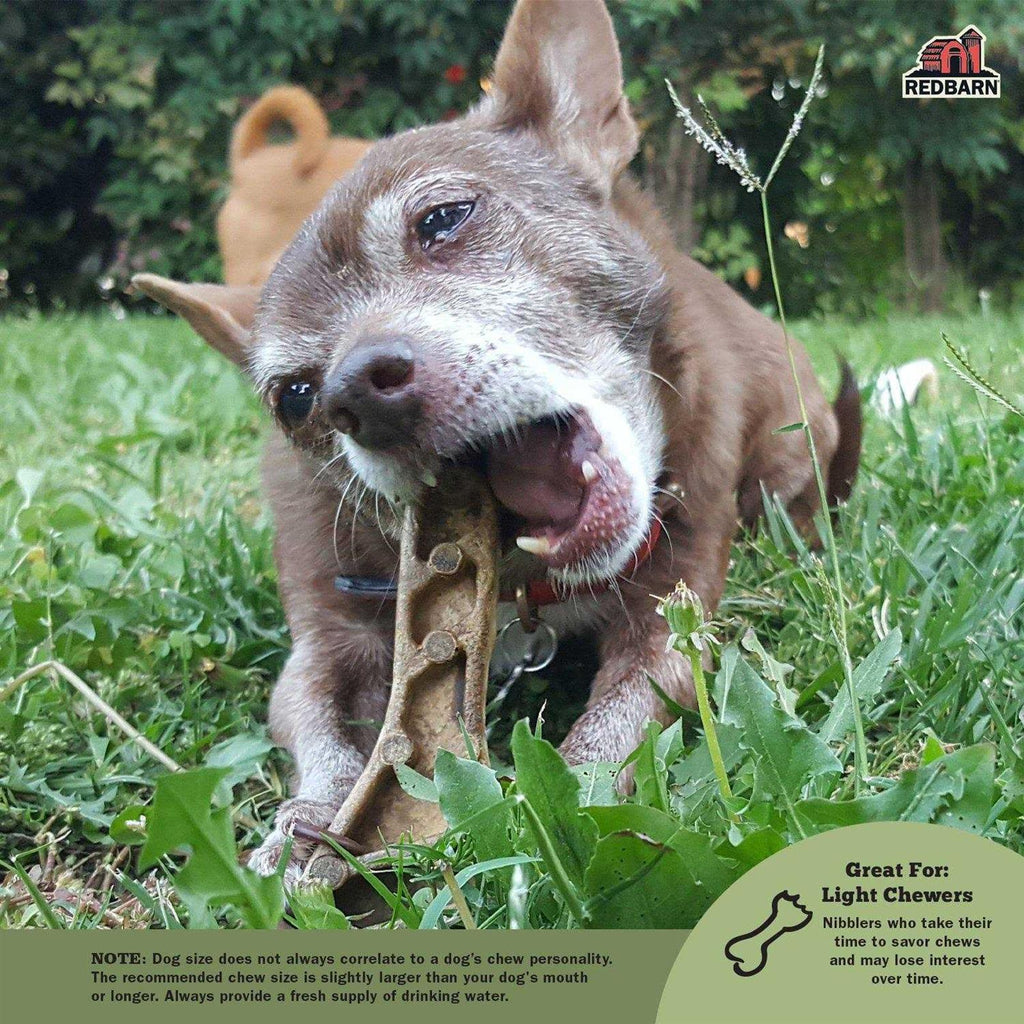 Dental Dog Chew C5896