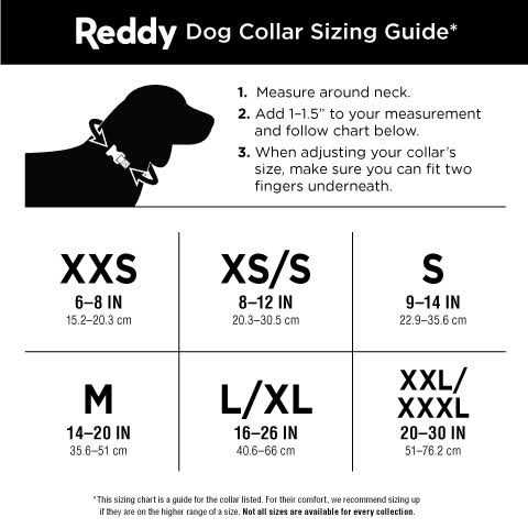 Dog Collar I455717