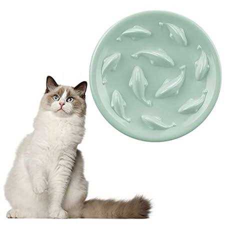 Slow Feeder Bowl for Cats and Small Dogs Y332