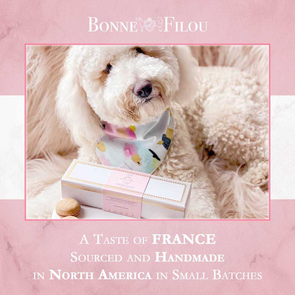 Dog Macarons Q1359