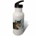 21 oz Sports Water Bottle N248101