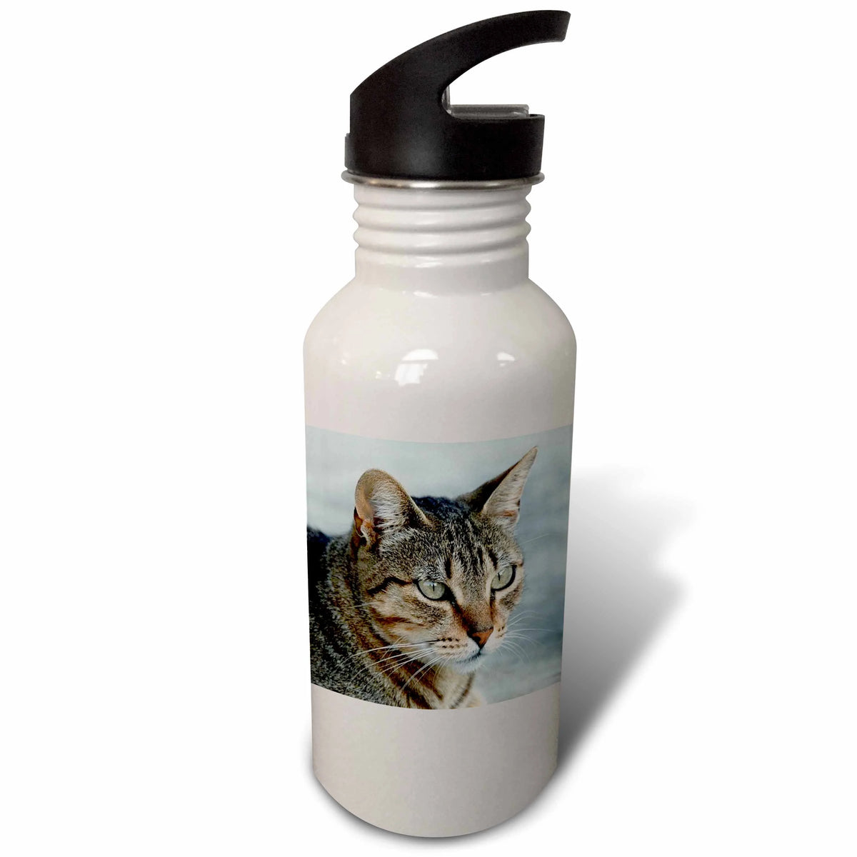 21 oz Sports Water Bottle N248101