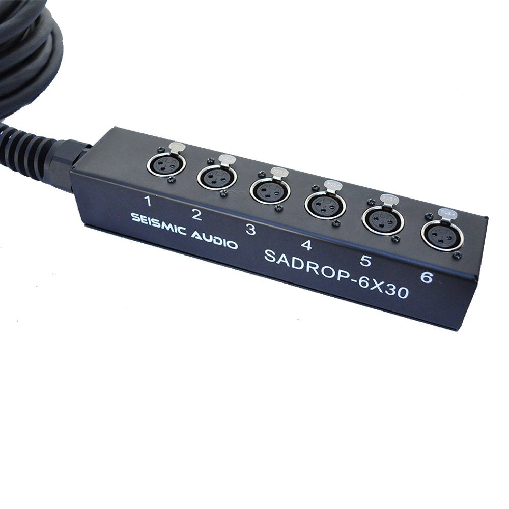 6 Channel 30-Feet Pro Audio Sub Snake Cable T603