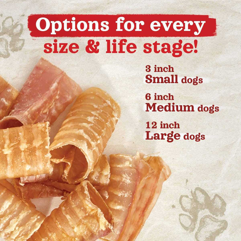 Beef Trachea Dog Chews L2202