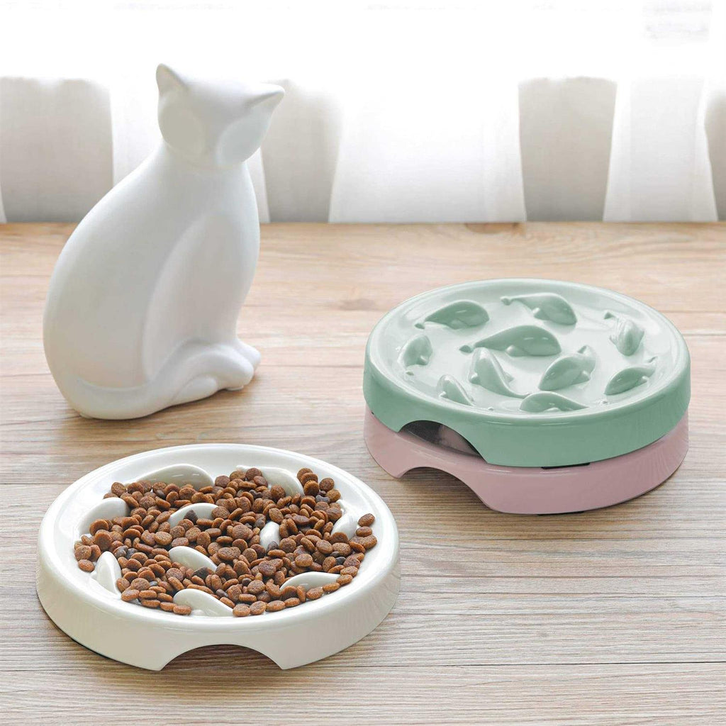 Slow Feeder Bowl for Cats and Small Dogs Y332
