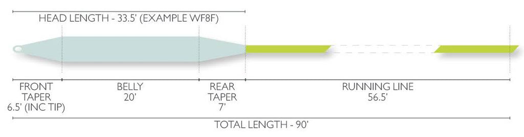 WF12 Salt Float Fly Line J148548