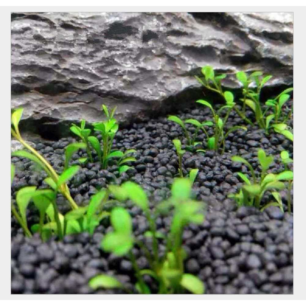 2 LB Freshwater Planted Aquarium Substrate H8166